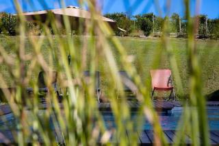 ROSTAGNI 1834 apt in villa with pool in the Barolo region - Novello - 4