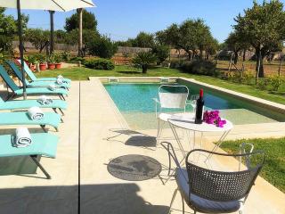 Villa Sa Tanca in Inca - 2