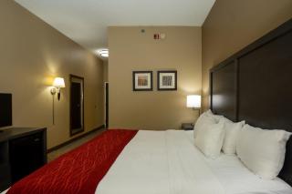 Comfort Inn Opelika - Auburn - 5