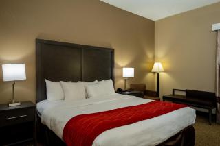 Comfort Inn Opelika - Auburn - 2