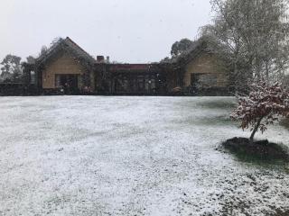 Ballaratprimavera - Ballarat - 9
