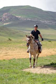 Wild Horses Lodge - 4