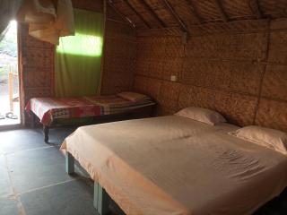 Hampi nature Cottage - Hampi - 4