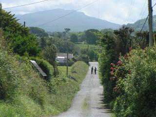 Pen Llyn Quarryman's Cottage - Trefor - 3