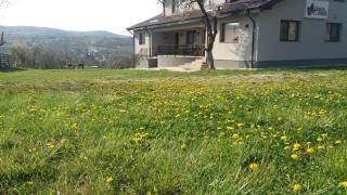Livada de Zmeura - Drăghici - 0