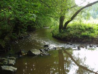 Eifelcottage - Ulmen - 7
