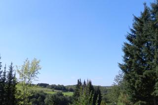 Eifelcottage - Ulmen - 5