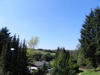 Eifelcottage - Ulmen - 4