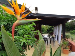 Laurus Jacuzzi villa Alghero Valverde 122 - Valverde - 5