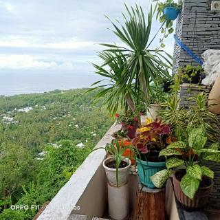 Rara Villas Lombok - Senggigi - 8
