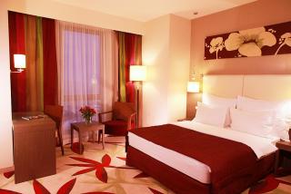 Golden Tulip Ana Dome Hotel - 8