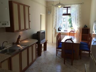 Apartment Eney - Lviv - 4