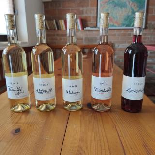 APARTMÁN CABERNET - Velké Pavlovice - 8