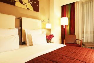 Golden Tulip Ana Dome Hotel - 6