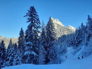Chalet Tante Emma - 4