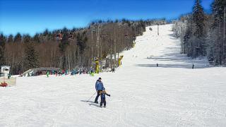 Chalex - 2