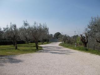 Casa Degli Ulivi - Tivoli - 3