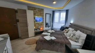 Studio MIPS S58 Milmari Resort Kopaonik - Kopaonik - 4