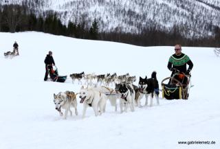 Skagi Bed & Lodge - 1