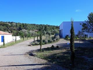location Silvis dans la propriété Elaia - Tourouzelle - 6