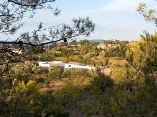 location Silvis dans la propriété Elaia - Tourouzelle - 8