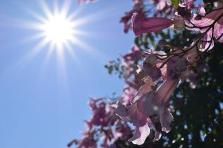 Casa Fernando, Frigiliana Traditional townhouse with amazing views HansOnHoliday Rentals - 8