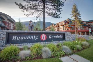 Tahoe Treetop Escape - 7