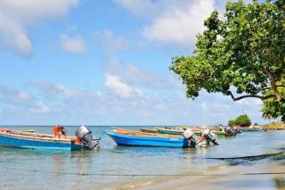 Le Paradis de la Baie 4 couchages à 2 Minutes des plages de TARTANE tout équipé - La Trinité - 4