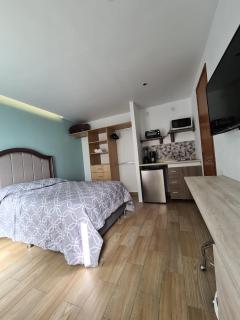 Acogedor loft privado - Città del Messico - 3
