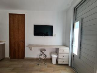 Acogedor loft privado - Città del Messico - 1