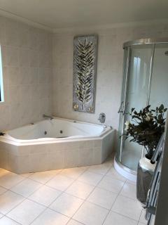 Beautiful Luxurious Large Home - 2