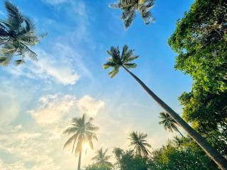 Lonely Beach - Isola di Koh Rong - 3