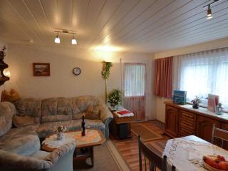 Holiday home in Thuringia - Neuhaus am Rennweg - 5