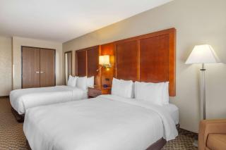 Comfort Inn & Suites Sterling - Sterling - 3
