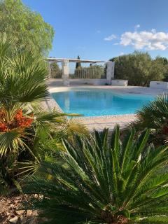 Trullo Palummieddu - Ostuni - 8