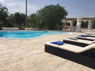 Trullo Palummieddu - Ostuni - 5