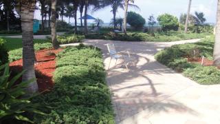 THE TIDES on MIAMI HOLLYWOOD - Hollywood - 1