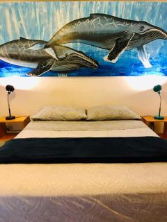 Hotel Posada Señor Mañana - San José del Cabo - 8
