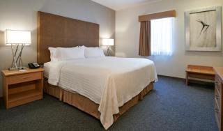 Holiday Inn & Suites Chihuahua Expo by IHG - 6