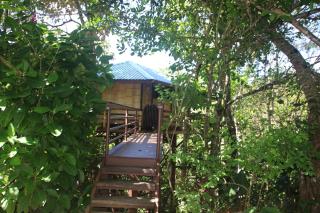 TREEHOUSE PILON PAVONES - Pavones - 4