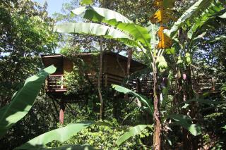 TREEHOUSE PILON PAVONES - Pavones - 0