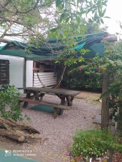 Techos amarillos 1 - 8