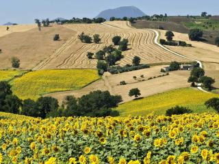 Countryside cottage in Pergola - 6