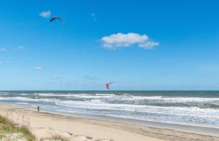 Dune Diamond - 9