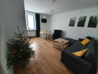 Apartament Aga - Ustrzyki Dolne - 6
