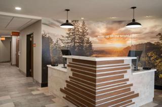 La Quinta Inn & Suites by Wyndham Springfield - Springfield - 7