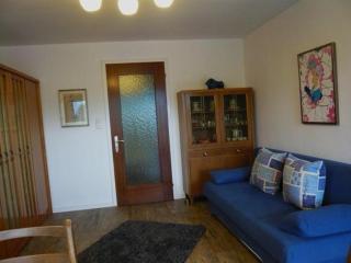 Falkenhorst-Wohnung-40 - Oberstdorf - 4