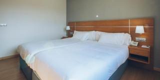 Sancho Ramirez - Pamplona - 7