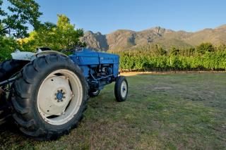 La Galiniere Guest Cottages - Franschhoek - 1