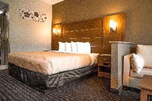 Quality Inn & Suites near Six Flags - Austell - 4
